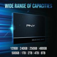 PNY CS900 250GB 535/500MB/s 2,5" SATA3 SSD (SSD7CS900-250-RB)